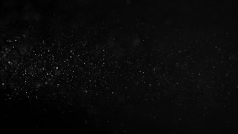 Dust Particles. Natural Floating Organic Particles On Black Background. Glittering Sparkling Particles With Bokeh. With Fast and Slow motion.