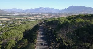 4K summer day aerial footage of Western Cape's Paarl wine growing and producing area, road lined with ancient pine trees, grape plantations and mountains in the background near Cape Town, South Africa
