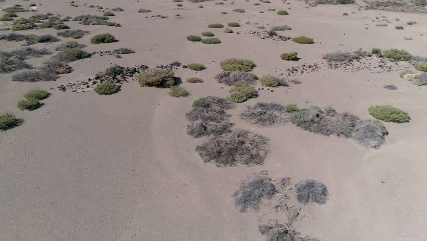 Aerial - Landscape of high mountain desert with short shrubs