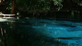 Emerald Pool, Mineral pool & popular swimming spot in a lush forest with a wooden walking track at krabi thailand.