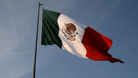 Mexican flag, flag agitated in the wind,closeup,Mexican coat of arms in the foreground