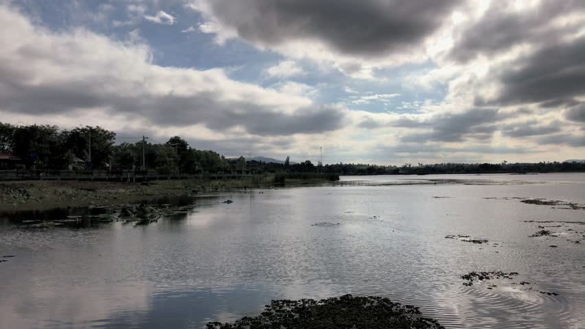 Swamp in cloudy day