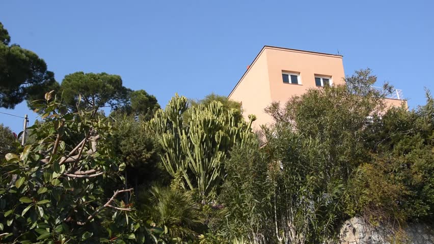 A house between the trees in Spain