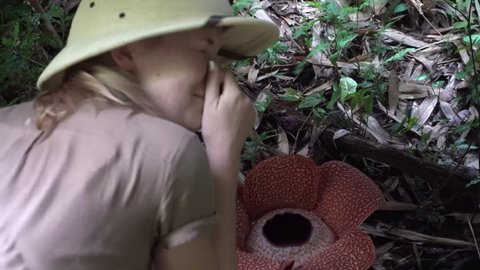 Female Tourist Smelling Rafflesia Flower