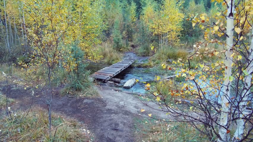 Crossing small wooden boardwalk bridge over forest creek near Blue Geyser lake in Altai mountains in rainy Autumn day
