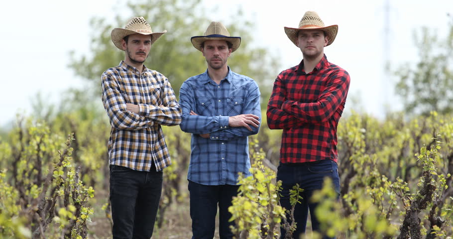 Young Group of Farmer Men Stock Footage 