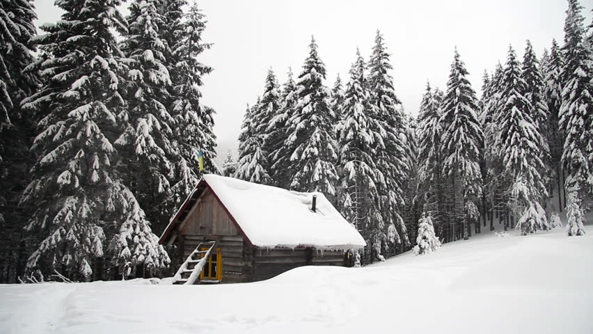 Steady shot snow falling on dark mountain forest woods and pine log cabin house hut travel hiking wanderlust