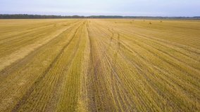 Aerial views of dry land farming and cropping in Rissia, featuring fields of meadow hay, lucerne, barley and straw in drought affected outback rural regional areas.