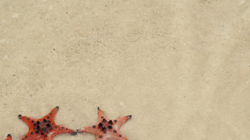 Slowmotion shot of Red starfish and diving mask on the beach