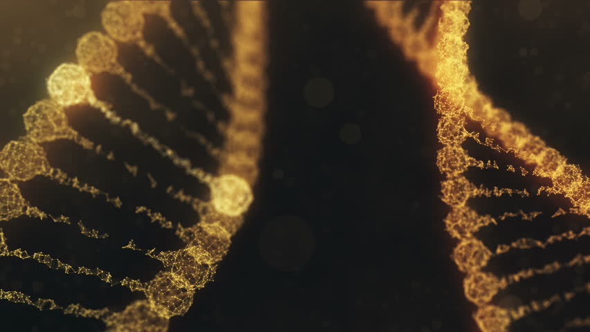 Seamless looping 3d animation of two rotating digital plexus DNA chains with glowing impulses running through the chains. Abstract medical science research background. Orange version. - Powered by Shutterstock - Get 15% off with code: PIKWIZARD15