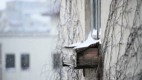 Detail clip with old wooden window during snowfall