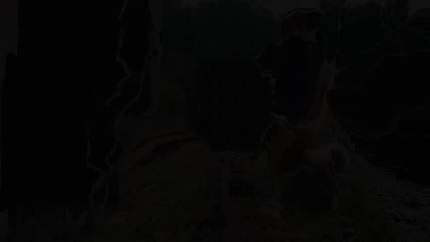 Asian girl kneels down and takes a picture on the railway.