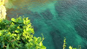 Panoramic video Azure ocean sea water on coral reef seaside scope in Bali, Indonesia.