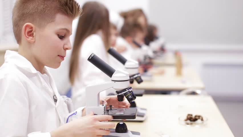 Elementary school biology class. Children studing biology in school laboratory.
