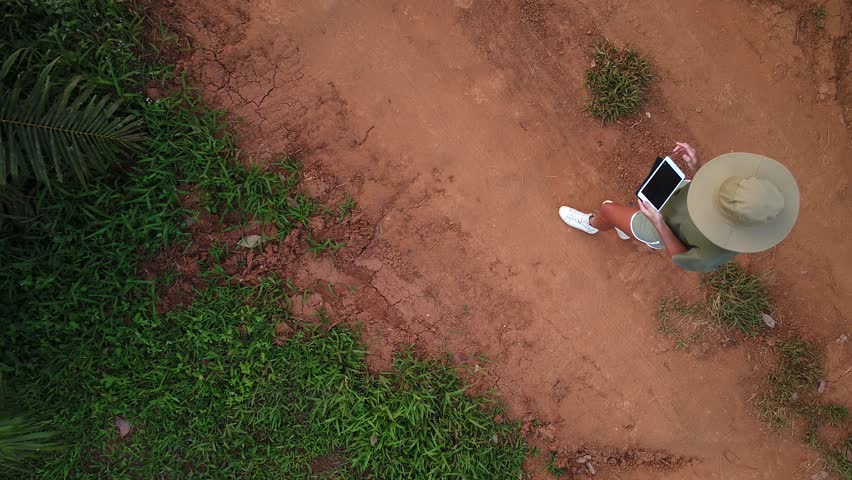 AERIAL. Camera moving fast from down to up. Top view directly above a asian female farmer in the hat monitoring his farm with a tablet. Palms farm in Thailand. Royalty-Free Stock Footage #1008307771