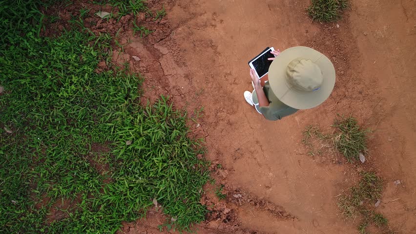 AERIAL. Top view directly above a asian female farmer in the hat monitoring his farm with a tablet. Palms farm in Thailand. Royalty-Free Stock Footage #1008307789