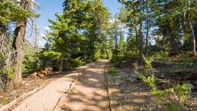 Walk along the path in the fir forest. Green pine-trees on rock slopes. Video in motion. Nature video. Amazing mountain landscape. Bryce Canyon National Park. Utah.USA. 4K, 3840*2160, high bit rate