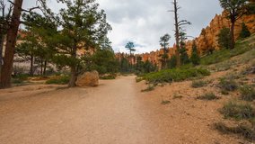 Video in motion along the trail among the yellow cliffs. Nature video. Amazing mountain landscape. Bryce Canyon National Park. Utah.USA. 4K, 3840*2160, high bit rate