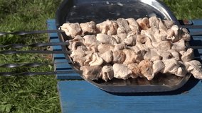 tilt up of raw shashlik on skewer and stone fireplace with smoldering wooden at summer time. 4K UHD video clip. 
