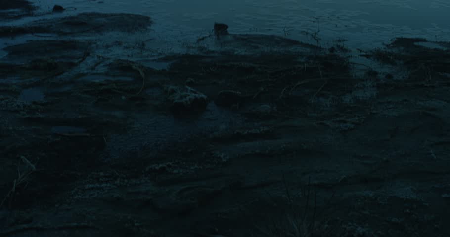 Mono Lake California - Shot on Red 5