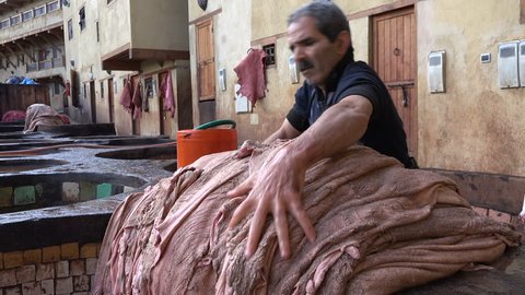 FEZ, MOROCCO - DECEMBER 2016: Worker of a tannery dyes animal skin in a classic way, manual labor in Fez, Morocco

