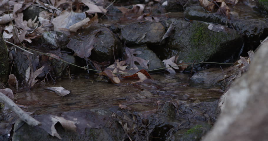 A slow motion close up of a trail runner