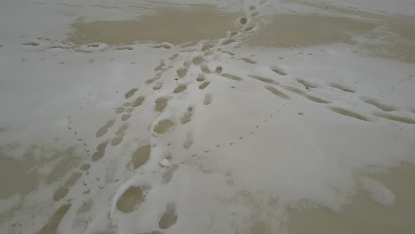 Traces of a person on the ice of a frozen river in winter. Aerial view