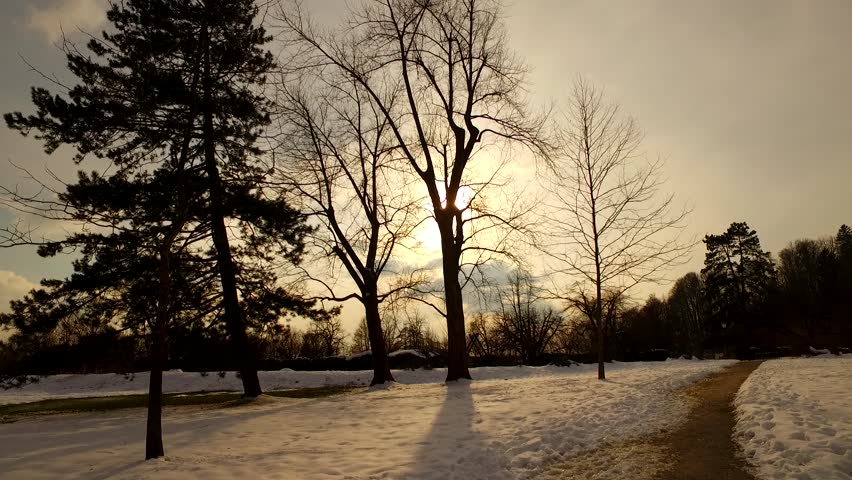 Walking in a cold winter park before sunset.