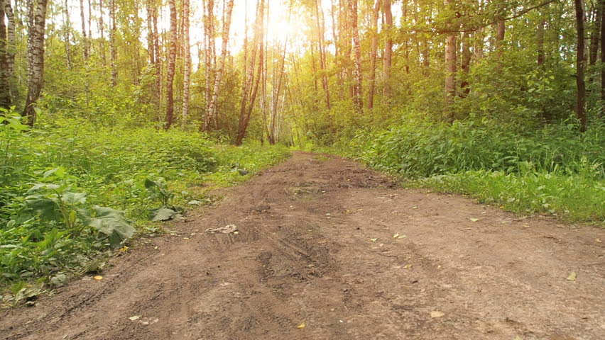 Girl on Bicycle in the Park. Young Sporty Girl Cycling in the Forest.