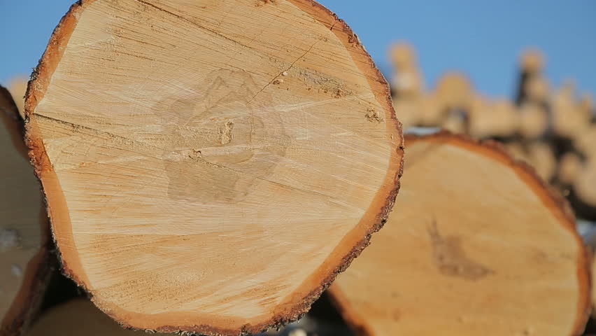 warehousing of logs on logging