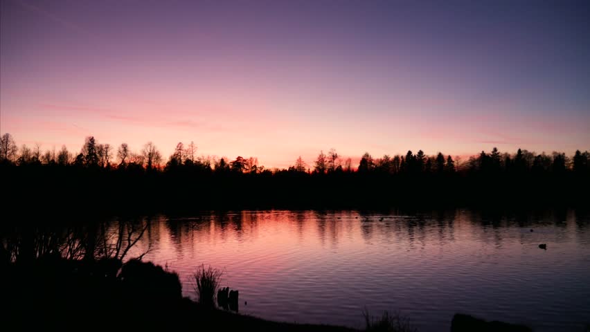 timelapse of reflection lake near dark forest