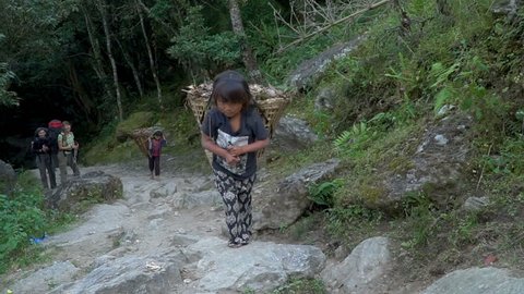 The little girl works as a porter. Children must work to earn some money for the family, in Nepal