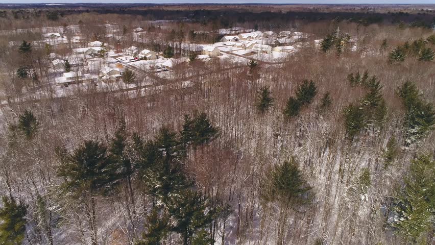 Beautiful Northern Wisconsin homes with pine trees under fresh snow, aerial view.
