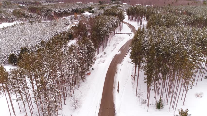 Beautiful Northern Wisconsin homes with pine trees under fresh snow, aerial view.
