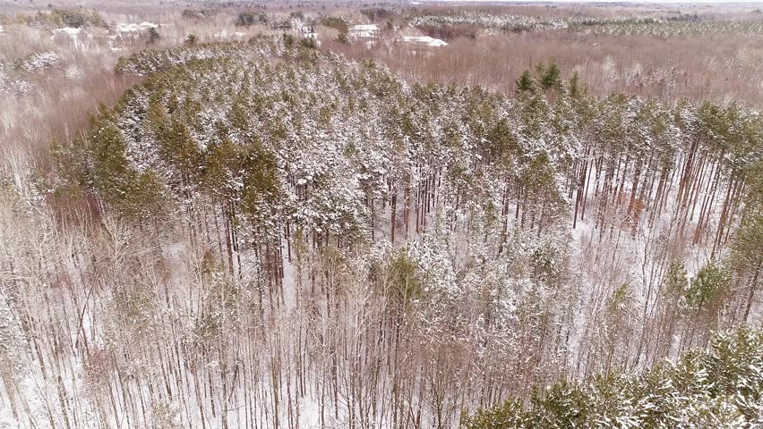 Stunning aerial view of Northern Wisconsin wilderness, forests, trees coated in fresh snow.