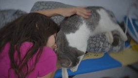 little girl stroking caresses a cat lying on an ironing board. little girl and indoors cat friendship pet slow motion video lifestyle