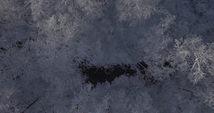 4K Flying Above Snow Covered Trees 15