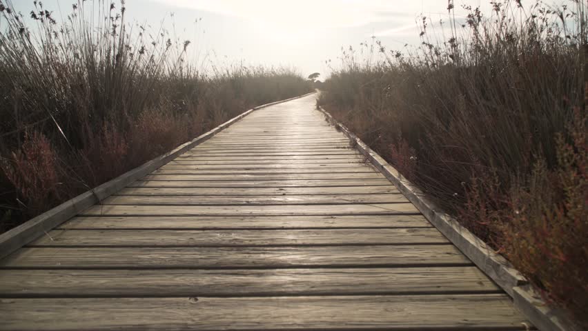 Cheerful adult man walking on pier in dry grass with a laptop bag in sunlight.