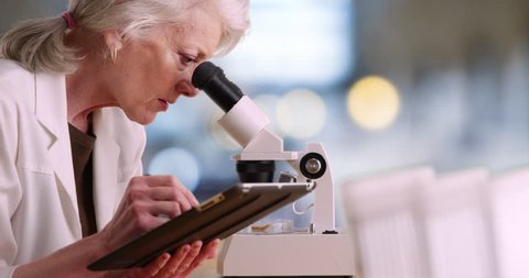 Mature female scientist working alone in lab takes notes on tablet computer and looks into microscope. Senior woman using pad to do medical research. 4k