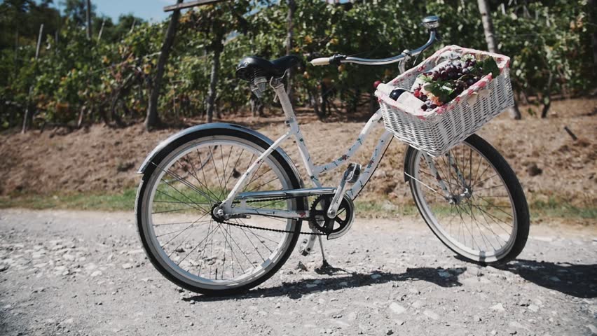 Cute white bicycle with basket full of vine and grapes on cross road near vinery on hot sunny summer day