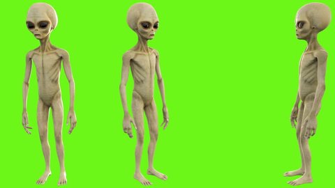 Alien presses the button. Loopable animation on green screen. 4k.