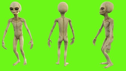 Alien walks. Loopable animation on green screen. 4k.
