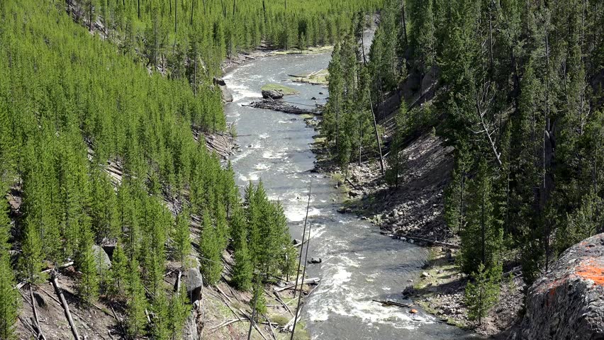 Gibbon river in northwest Yellowstone National Park. Wyoming, USA