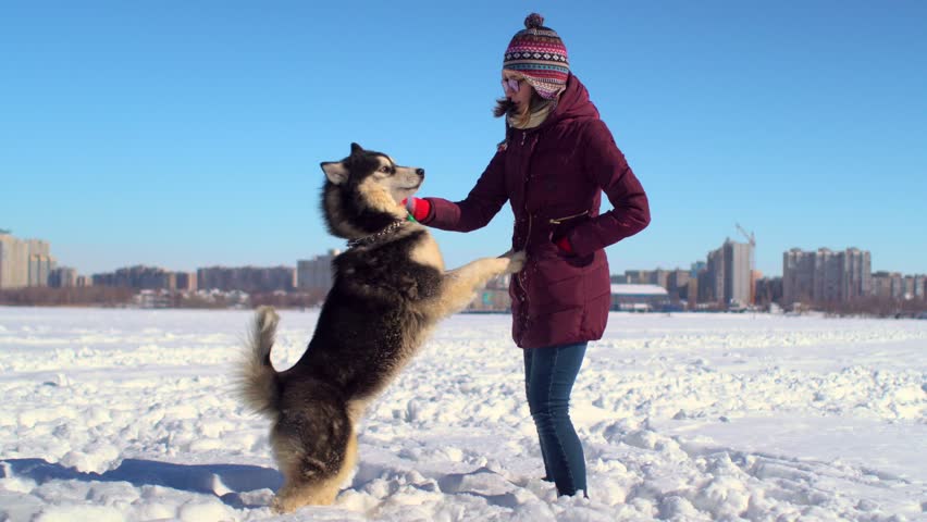 Young hipster woman playing with her Husky dog on frozen river against background of cityscape.