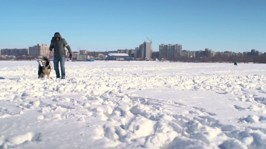Slow motion of Husky dog and strange hipster man with beard running through high snow towards camera.