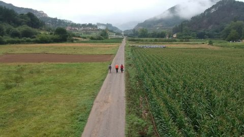 Aerial shot of pilgrims walking on countryside road