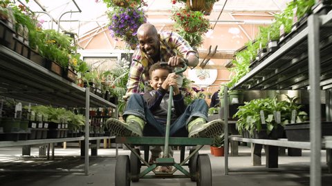 Father pushing his son on a cart in a greenhouse