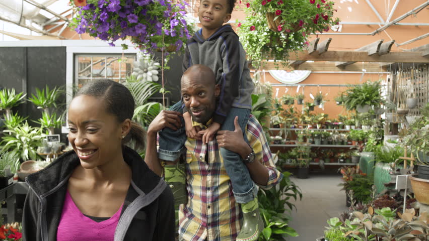 Father piggybacking his son in a greenhouse Royalty-Free Stock Footage #1008585052