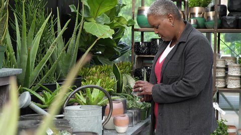 Senior woman checking on pots in a greenhouse