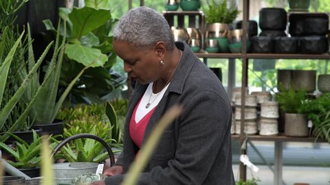 Senior woman holding a pot in a greenhouse